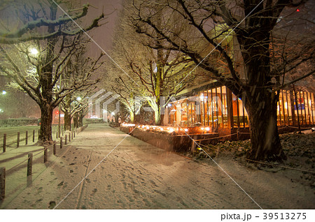 神宮外苑に降る雪 39513275