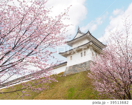 宇都宮城址公園 39513682