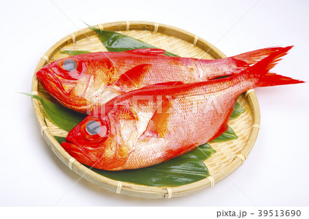 金目鯛　魚 39513690