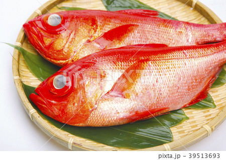 金目鯛　魚 39513693