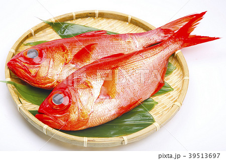 金目鯛 魚 金目鯛 魚 39513697