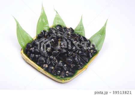 シジミ 食材 シジミ 食材 39513821