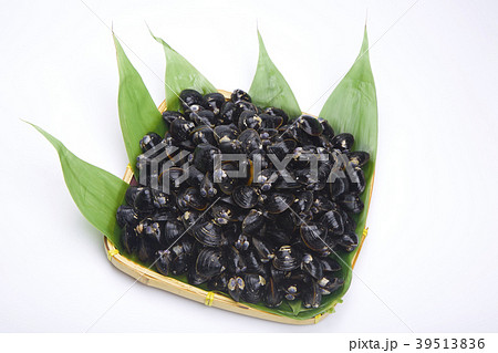 シジミ　食材　 39513836