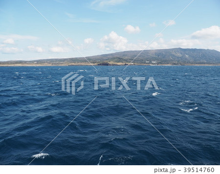 伊豆大島 39514760