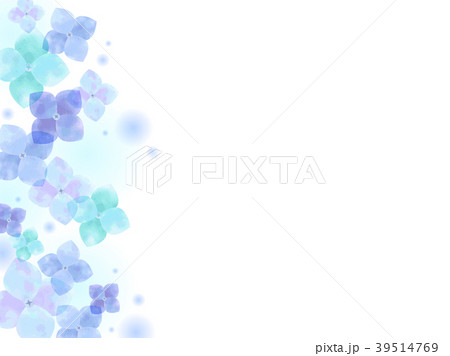 紫陽花の背景 39514769