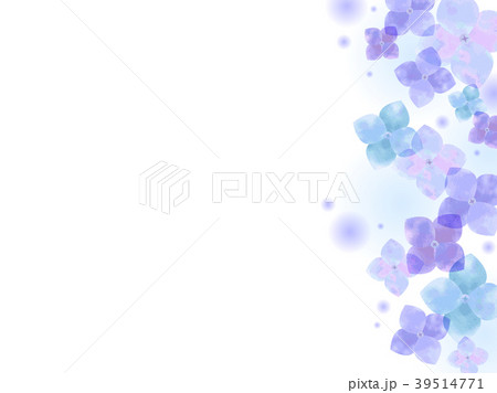 紫陽花の背景 紫陽花の背景 39514771