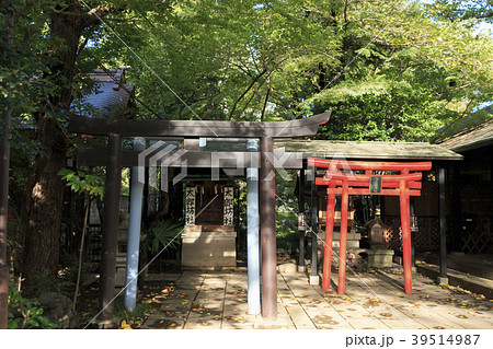 寺社風景(東京都、愛宕神社、秋) 寺社風景(東京都、愛宕神社、秋) 39514987