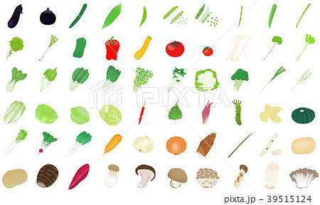 やさい イラスト セット やさい イラスト セット 39515124