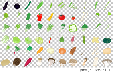 やさい イラスト セット やさい イラスト セット 39515124