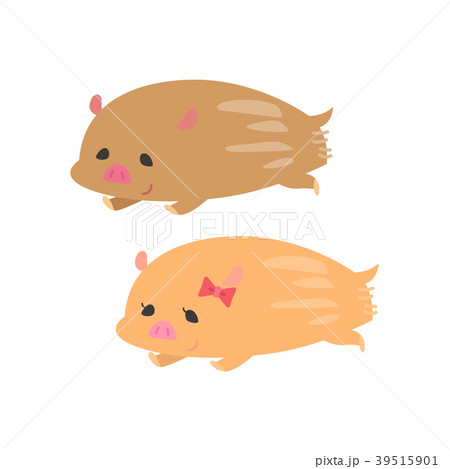 走るうりぼう 39515901