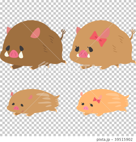 走る猪とうりぼう 39515902