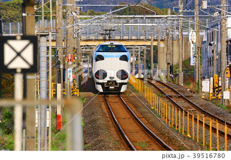パンダくろしお号JR287 Panda face Express Train Kuroshio 60 39516780