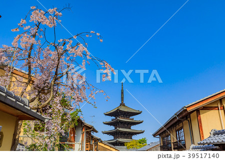 京都 春の八坂の塔（法観寺） 39517140