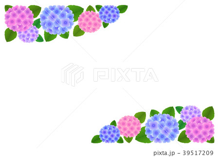 あじさいの花　コーナー飾り 39517209