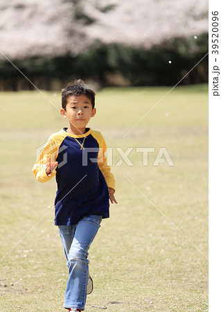 かけっこする小学生(3年生)と桜 39520096