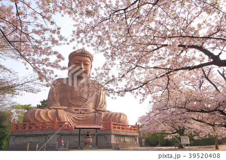 聚楽園大仏 39520408