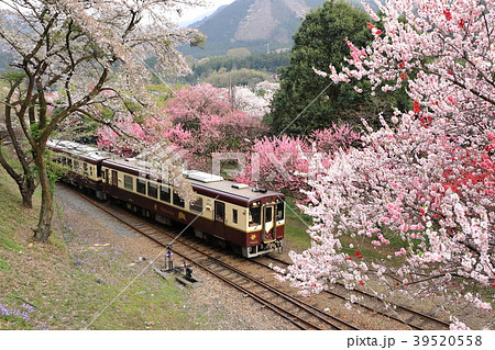 春の渡良瀬渓谷鉄道　神戸駅 39520558