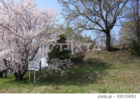 玉村町梨ノ木古墳 39520881