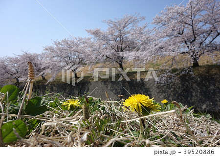 玉村町下茂木の風景 39520886