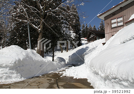 松代（豪雪の道） 39521992