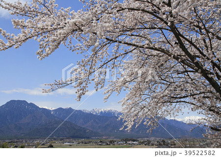 北アルプス山麓　安曇野の春 39522582