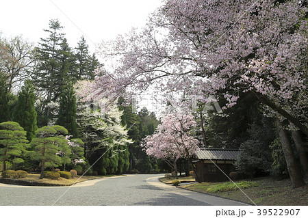 武蔵陵墓地（多摩御陵）　 39522907