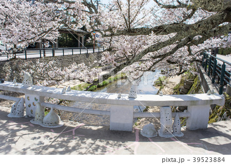 春の玉造温泉 39523884