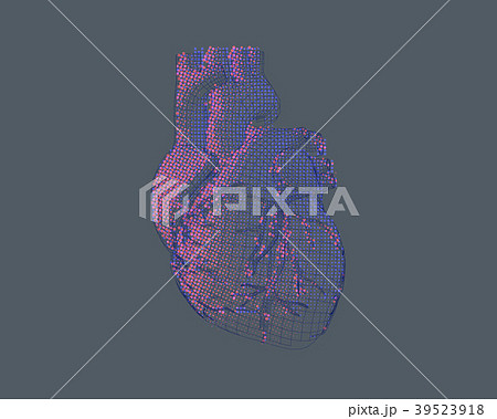 Stylized wireframe human heart illustration 39523918