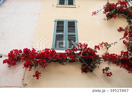 サントロペ　saint-tropez 39525667