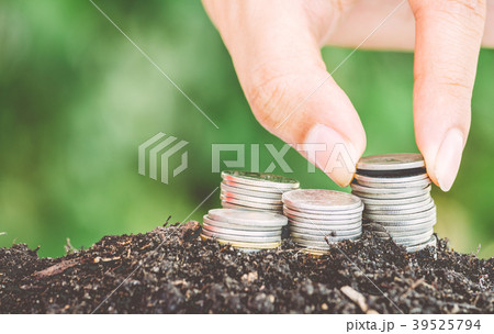Money and plant with hand Money and plant with hand 39525794