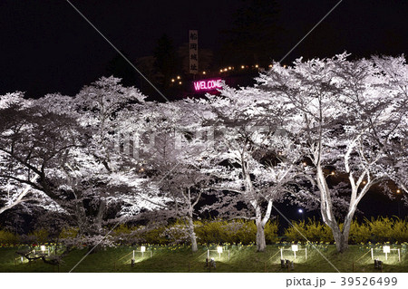 一目千本桜のライトアップ2018 一目千本桜のライトアップ2018 39526499