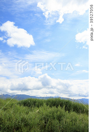田園風景（静岡県、演習場、秋） 39527056