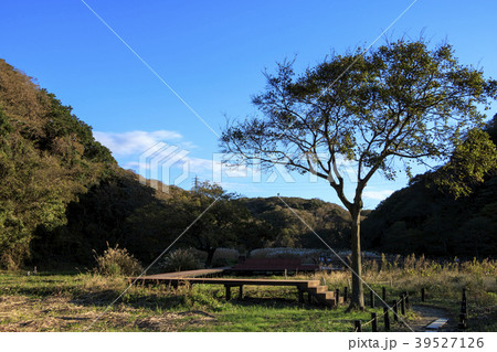 田舎風景（神奈川、小網代、秋） 39527126