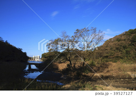 田舎風景（神奈川、小網代、秋） 39527127