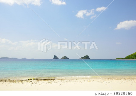 ＜奄美大島＞　美しい西古見の海05 39529560