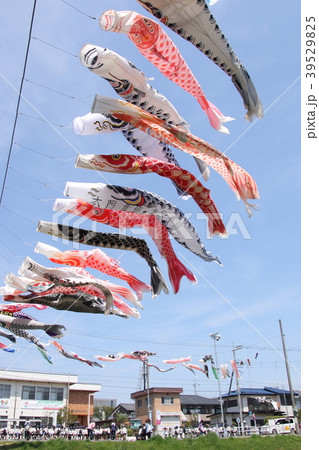 長房のこいのぼり 長房のこいのぼり 39529825