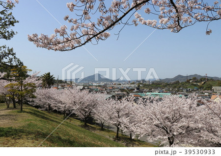 松山総合公園から見た風景 松山総合公園から見た風景 39530933