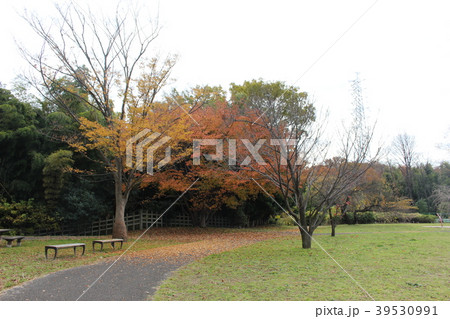 太尾見晴らしの丘公園(横浜市港北区) 太尾見晴らしの丘公園(横浜市港北区) 39530991