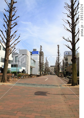 神奈川県大和市 なでしこの道 町並み 神奈川県大和市 なでしこの道 町並み 39531024