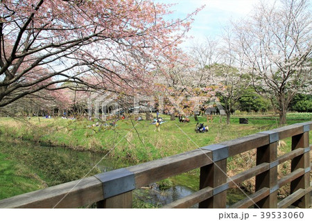 神奈川県大和市 ふれあいの森 引地川 神奈川県大和市 ふれあいの森 引地川 39533060