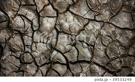 Cracked earth 39533249