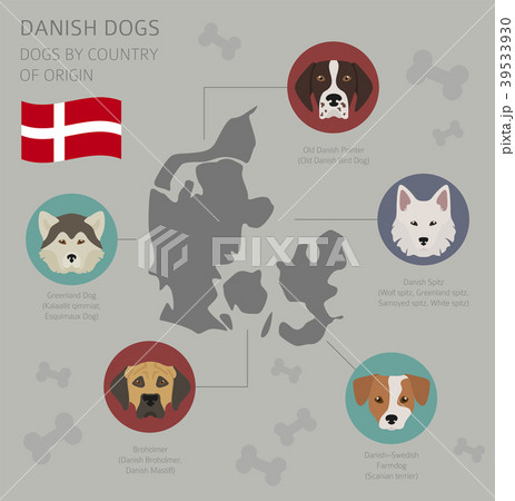 Dogs by country of origin. Danish dog breeds 39533930