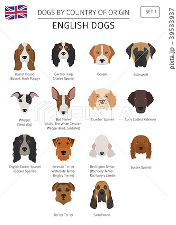 is the english mastiff legal in tunisia