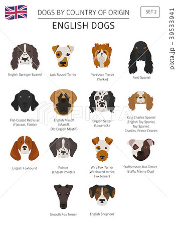 is the english mastiff legal in tunisia