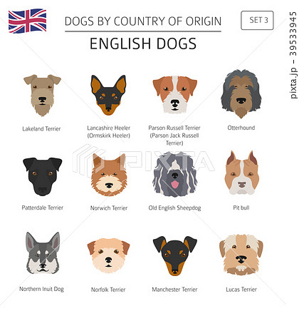 Dog breeds in store english