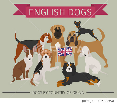 Dogs by country of origin. English dog breeds Dogs by country of origin. English dog breeds 39533958