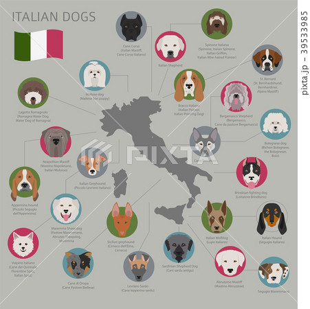 Dogs by country of origin. Italian dog breeds 39533985