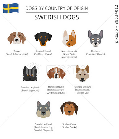 what country are dogs native to