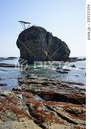 三陸ジオパーク茂師海岸 39535304