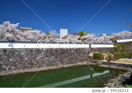 春爛漫の甲府城 春爛漫の甲府城 39536213